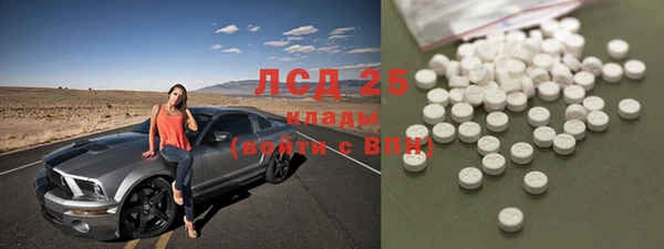 дживик Аркадак