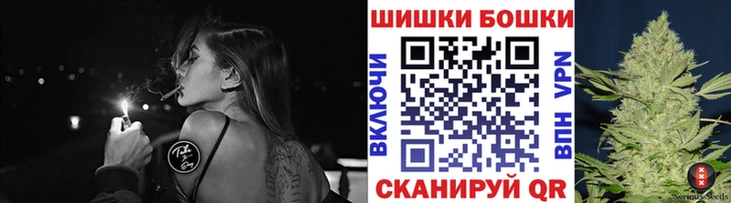 цена   Губаха  Бошки Шишки план 